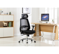 Sway Mesh Tall Back Computer/Office/Gaming Chair